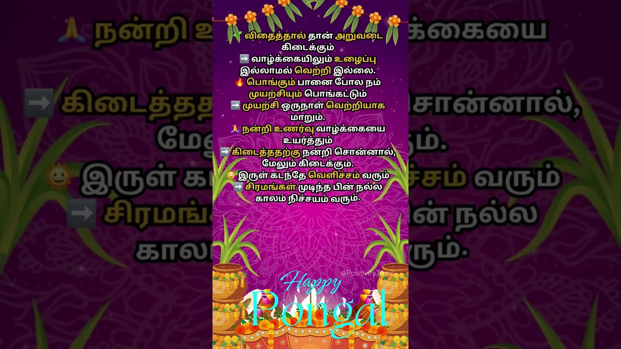 True Line Life Motivation | Thai Pongal Motivation 🌾| Happy Pongal 2026 | Positivity Tamil 