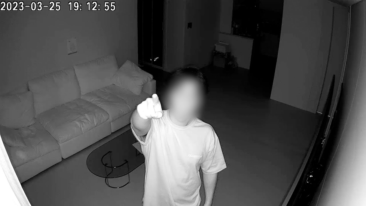 야 뭘보냐?(홈캠관찰)