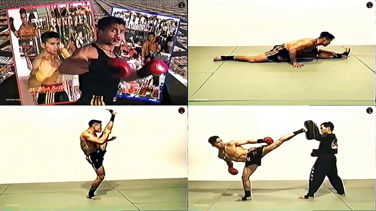 Cung Le  ''San Shou''  Sanshou Fundamentals & Rules