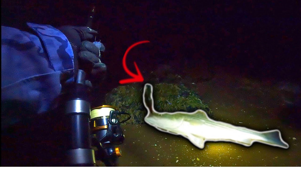 Night Fishing for QUALITY Striped Bass on the Bay | THIS LURE Caught Them!