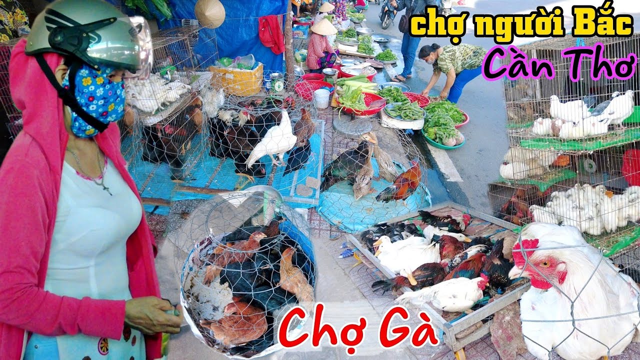 Bất ngờ 
