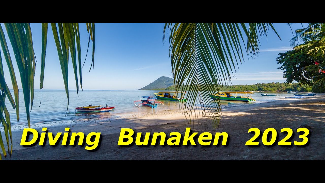 Diving Bunaken 2023