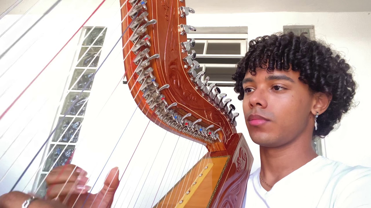 34+35 Ariana Grande Cover Paraguayan Harp