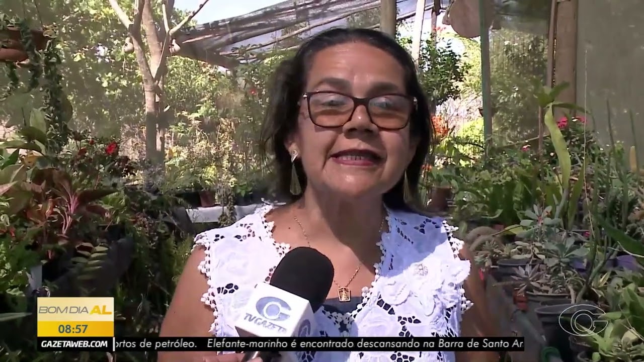Estufas impulsionam produção de flores em Mar Vermelho - 12/03/2026