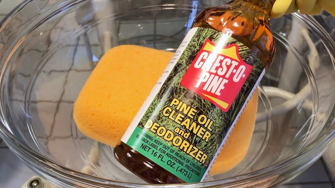 ASMR 🧽🌲 Crest-o-Pine Squeezing 🌲