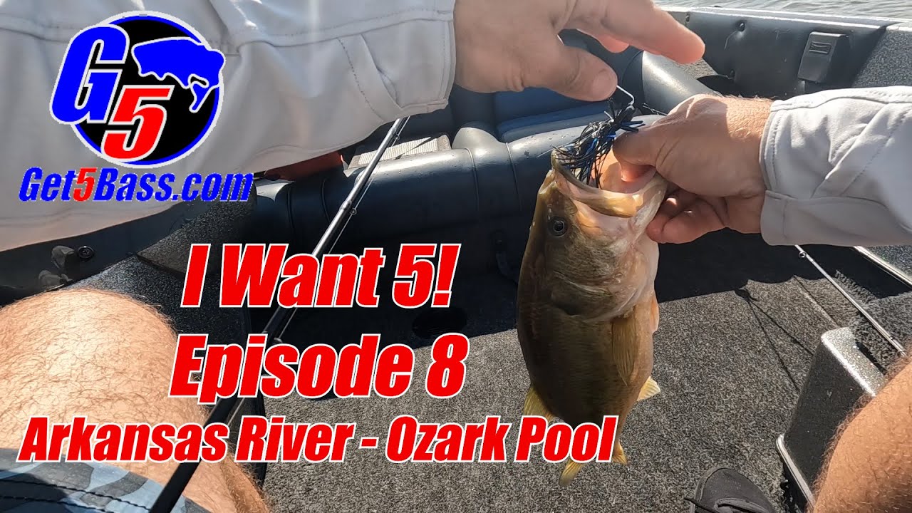 Arkansas River Bass Fishing - I Want 5! Episode 8 #arkansasbassfishing #ozarkarkansas #bassfishing