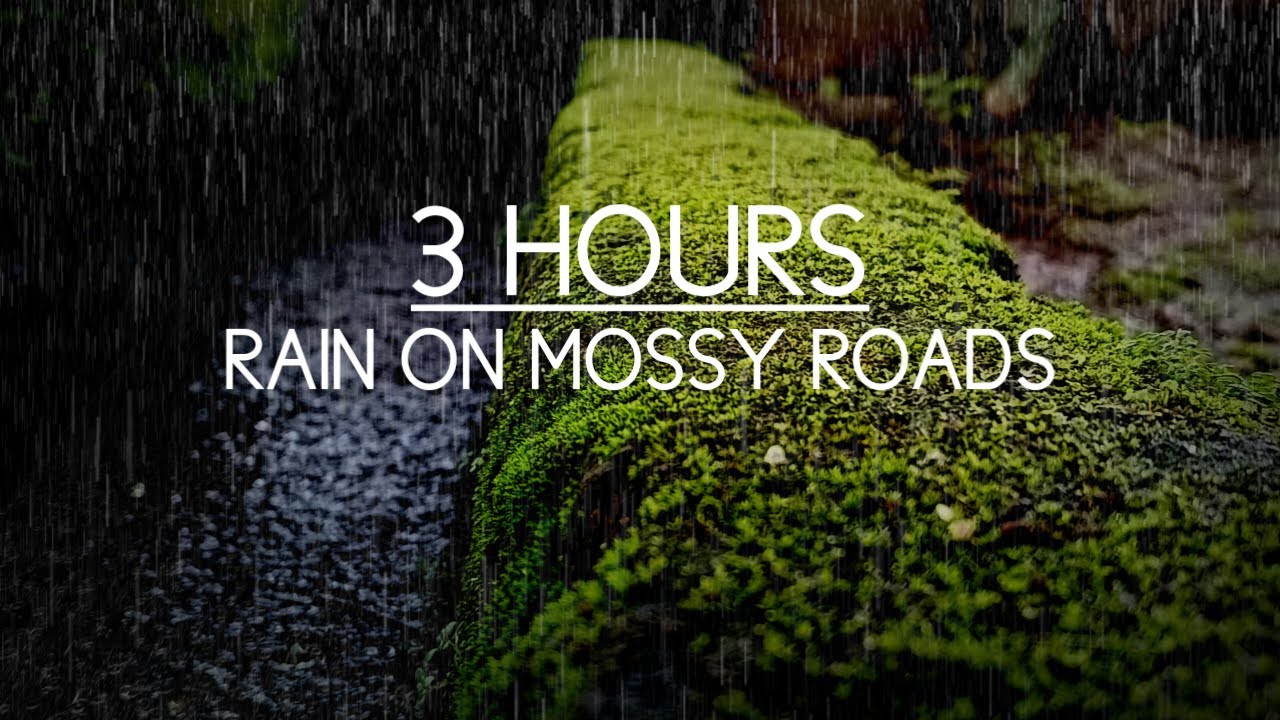 Rain sounds for sleep - rain on mossy roads - heavy rain and thunder