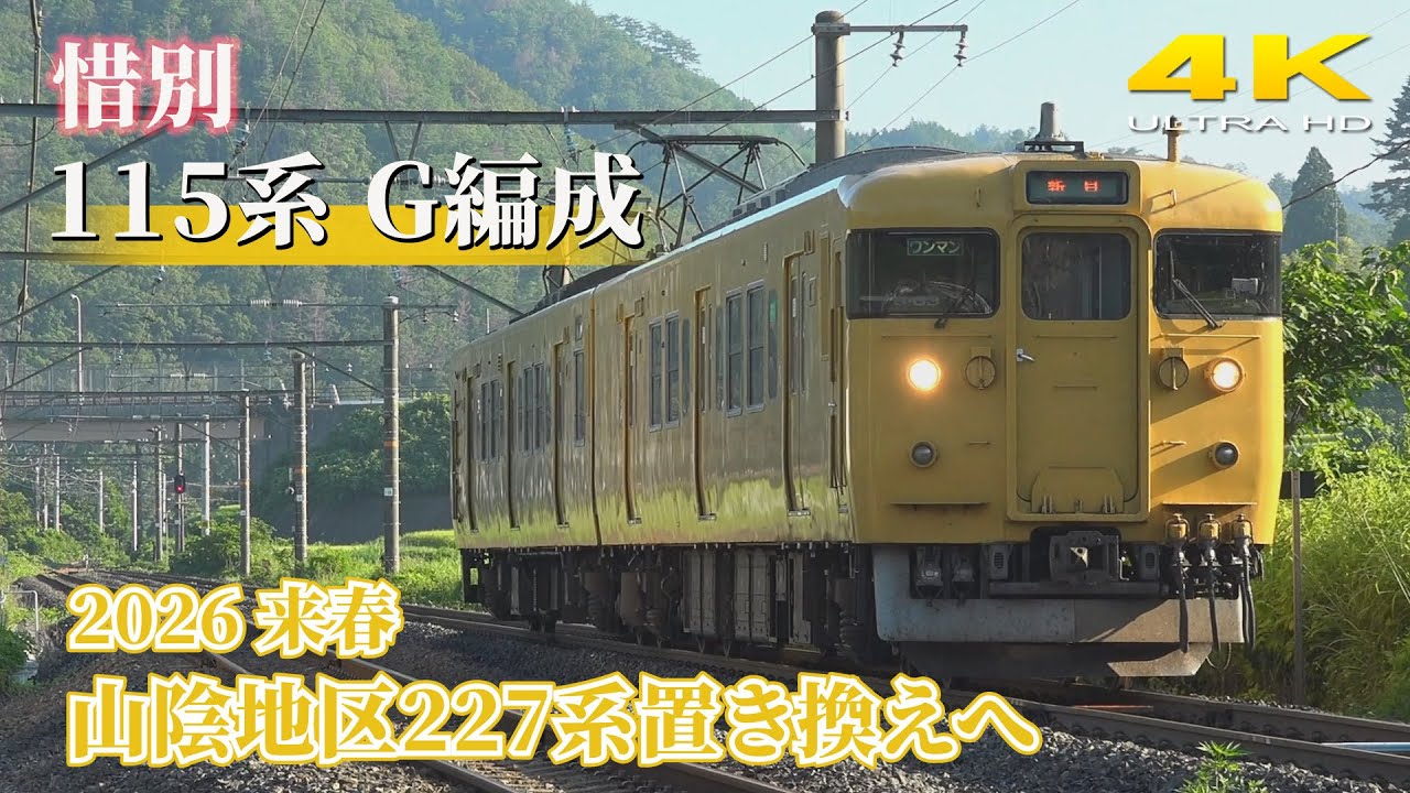 【惜別】115系 G編成 【2025】 伯備線を行く