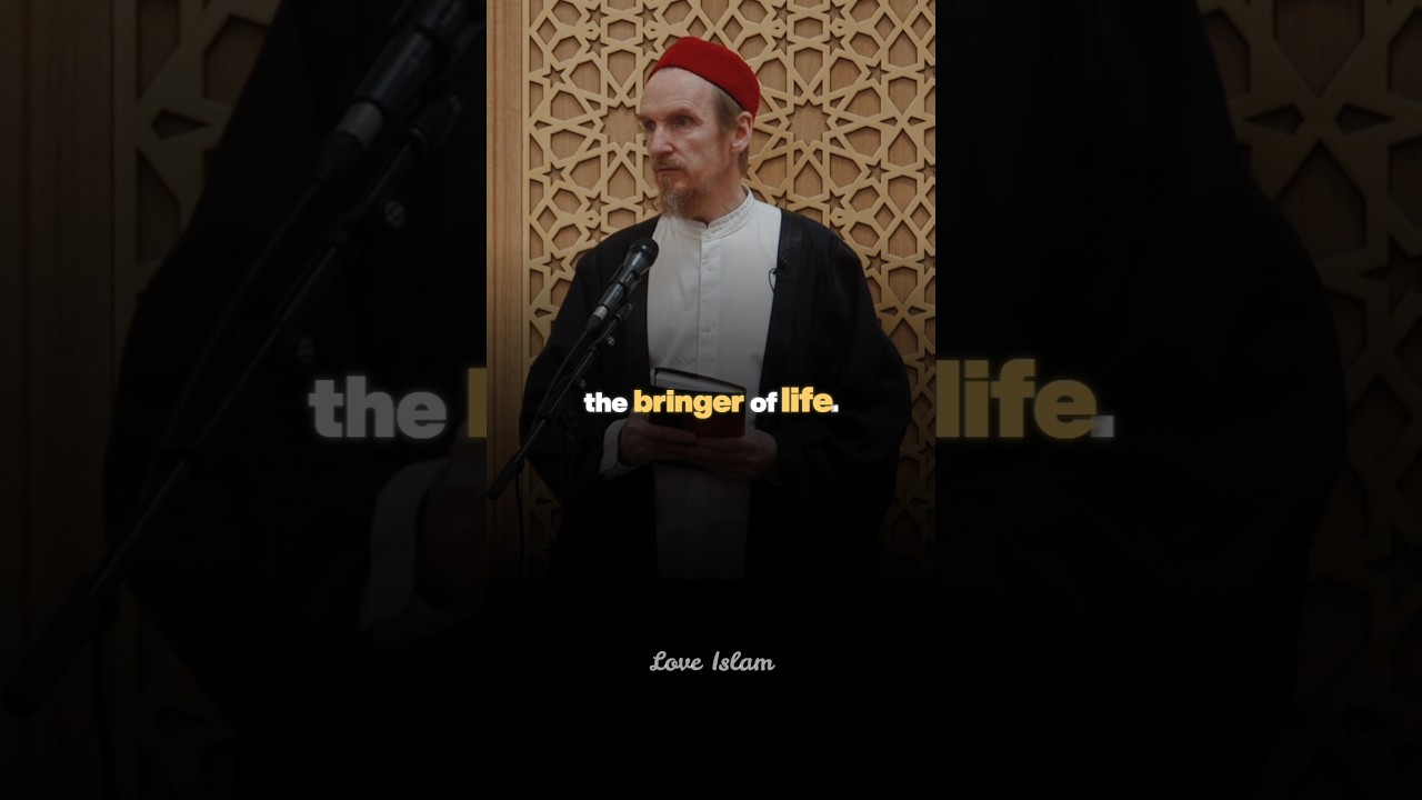 Mystery of Life -- Shaykh Abdal Hakim Murad #hakimmurad #islam #quran