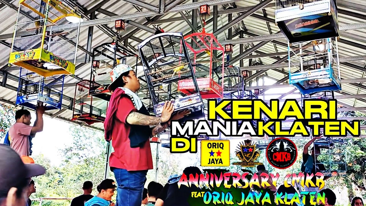 VLOG GANTANGAN‼️Kenari Mania KLATEN berkumpul di Gantangan ORIQ JAYA...