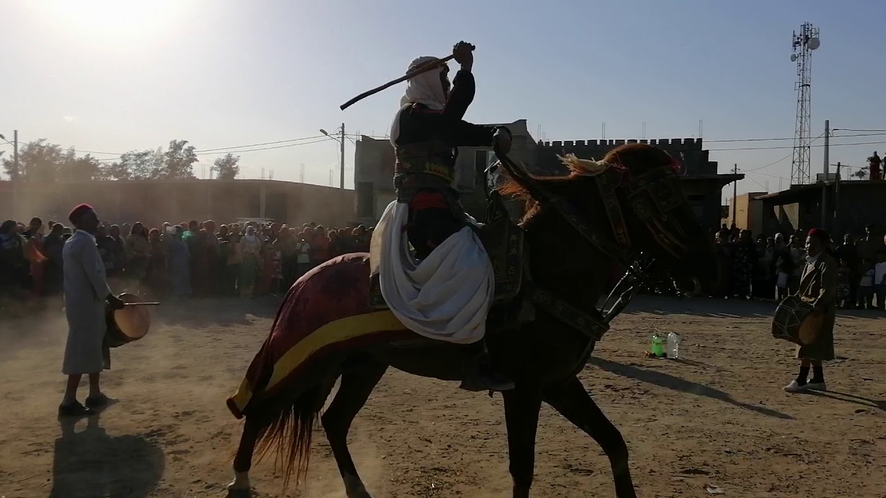 عرس ابراهيم القاسمي زعفرانة فرسان جلاص