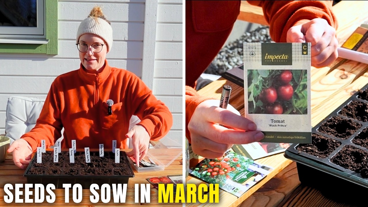 Vegetables To Grow in March for Spring & Summer Harvest
