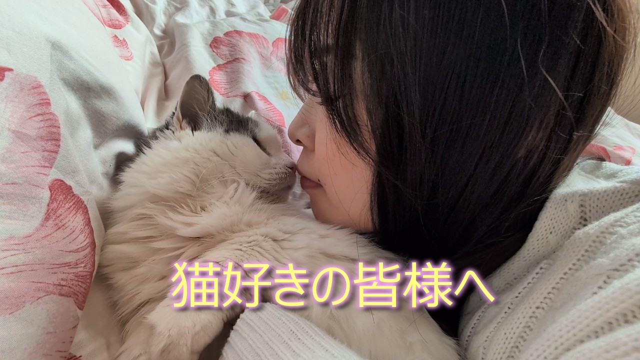 【猫の日】実家に帰ったら天使がいました