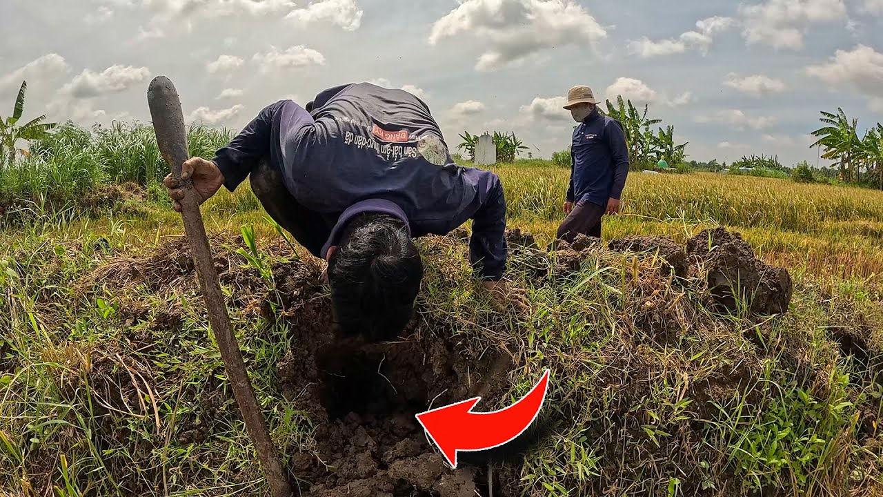 Mùa Rắn Ở Cặp Đến Rồi | TGSB #1182