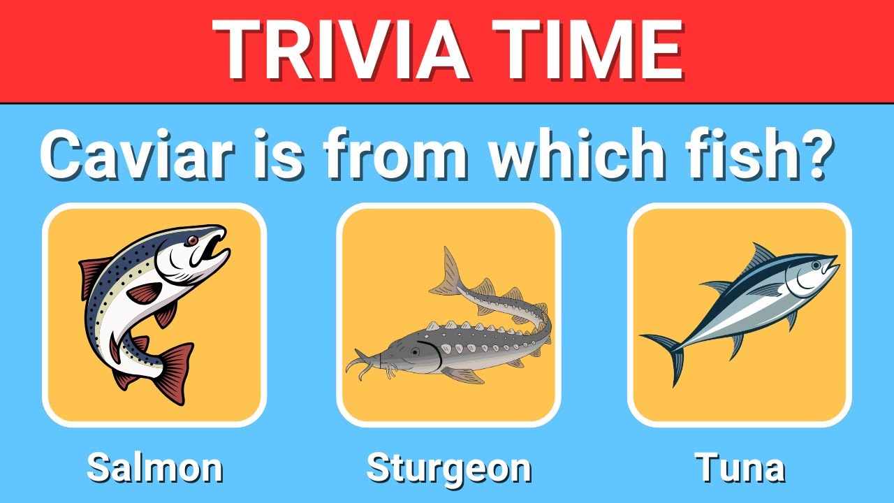 Brain Teaser Quiz: Only Geniuses Score 30/30!