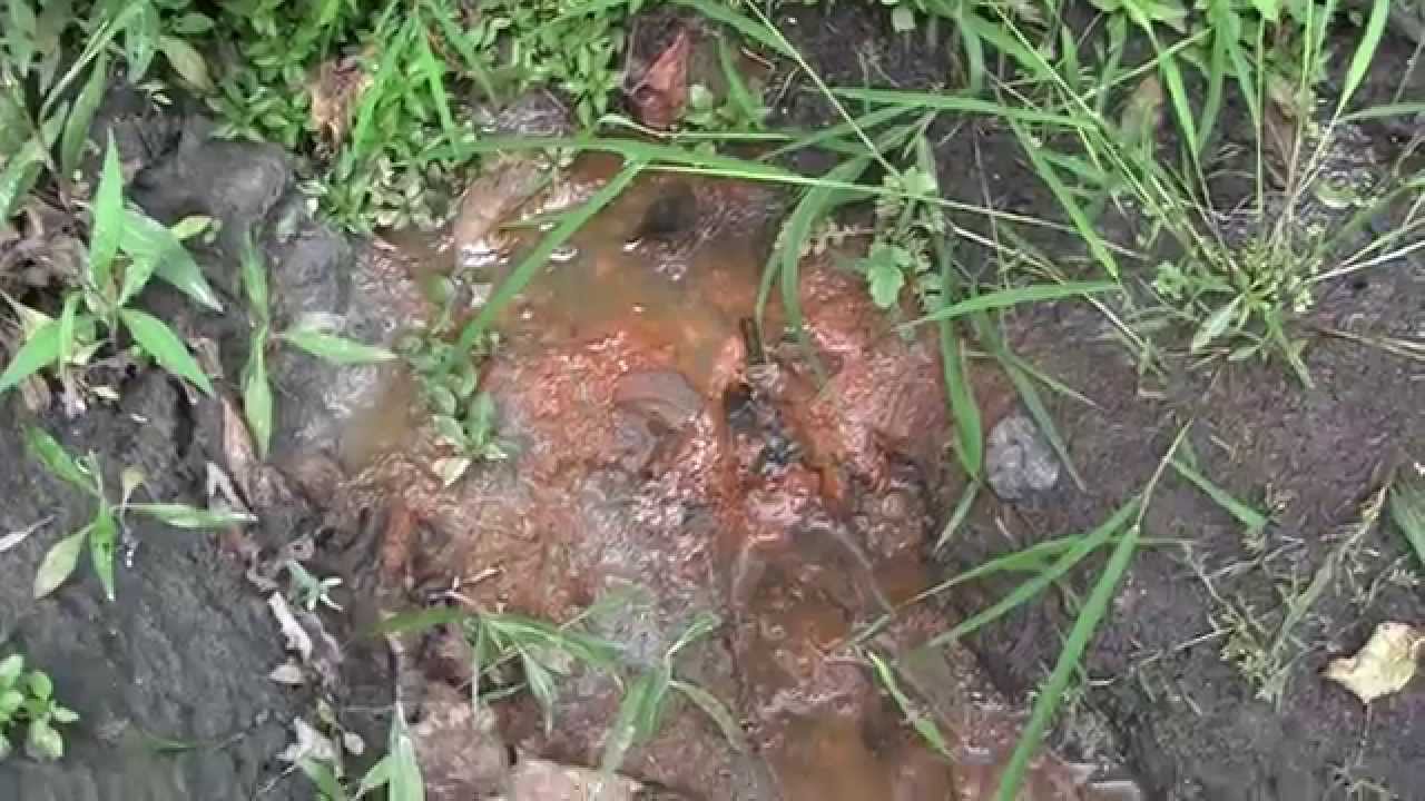 The Orange County Landfill is slipping into the Cheechunk Canal