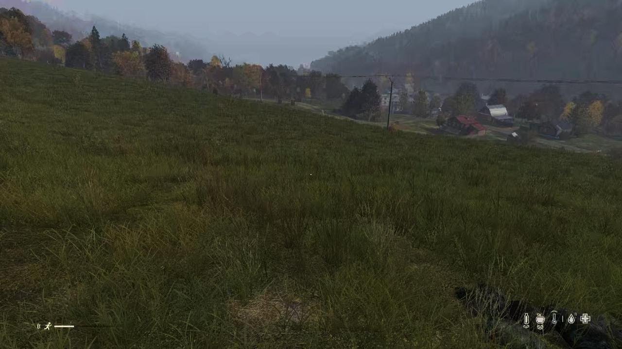 DayZ PS5 Easy peasy!