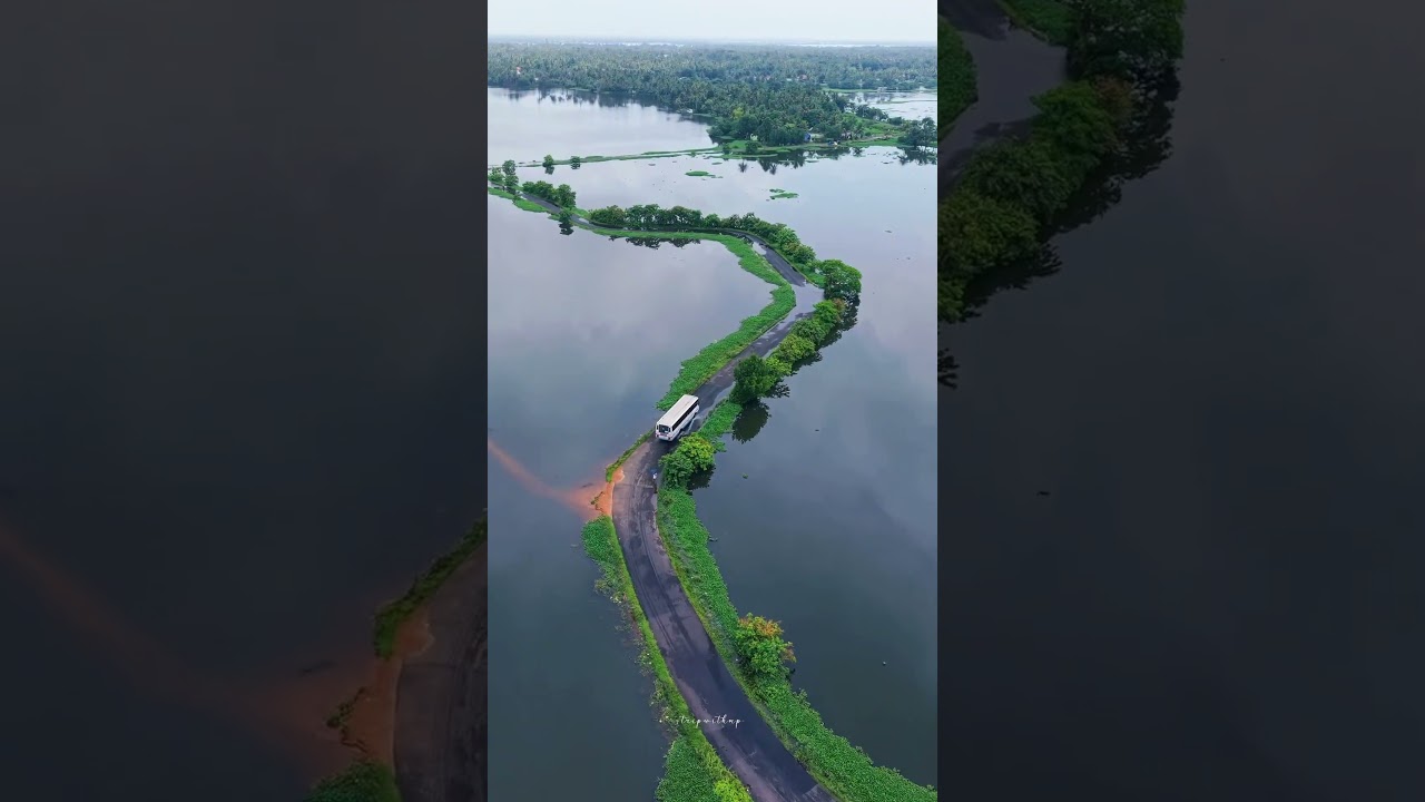 Beautiful bus routes of Alappuzha where KsRTC is like a boat 🚤 #backwater #alappuzha #kerala