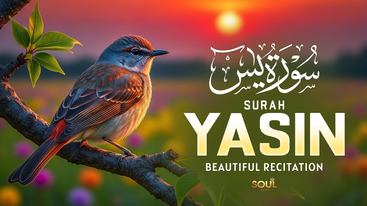 Surah Yasin(سورة يس)Most Beautiful Tilawat Creating Comfort For Troubled Hearts