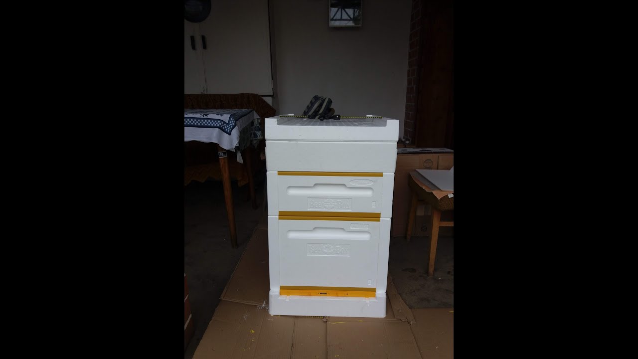Crazy Bee Farm - Bee Box, Paradise Honey, assembly and painting