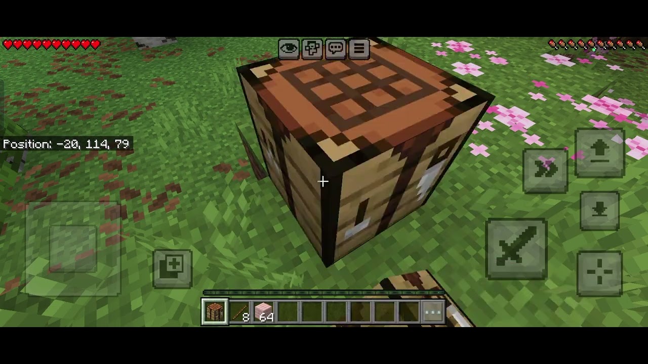 Minecraft my new world