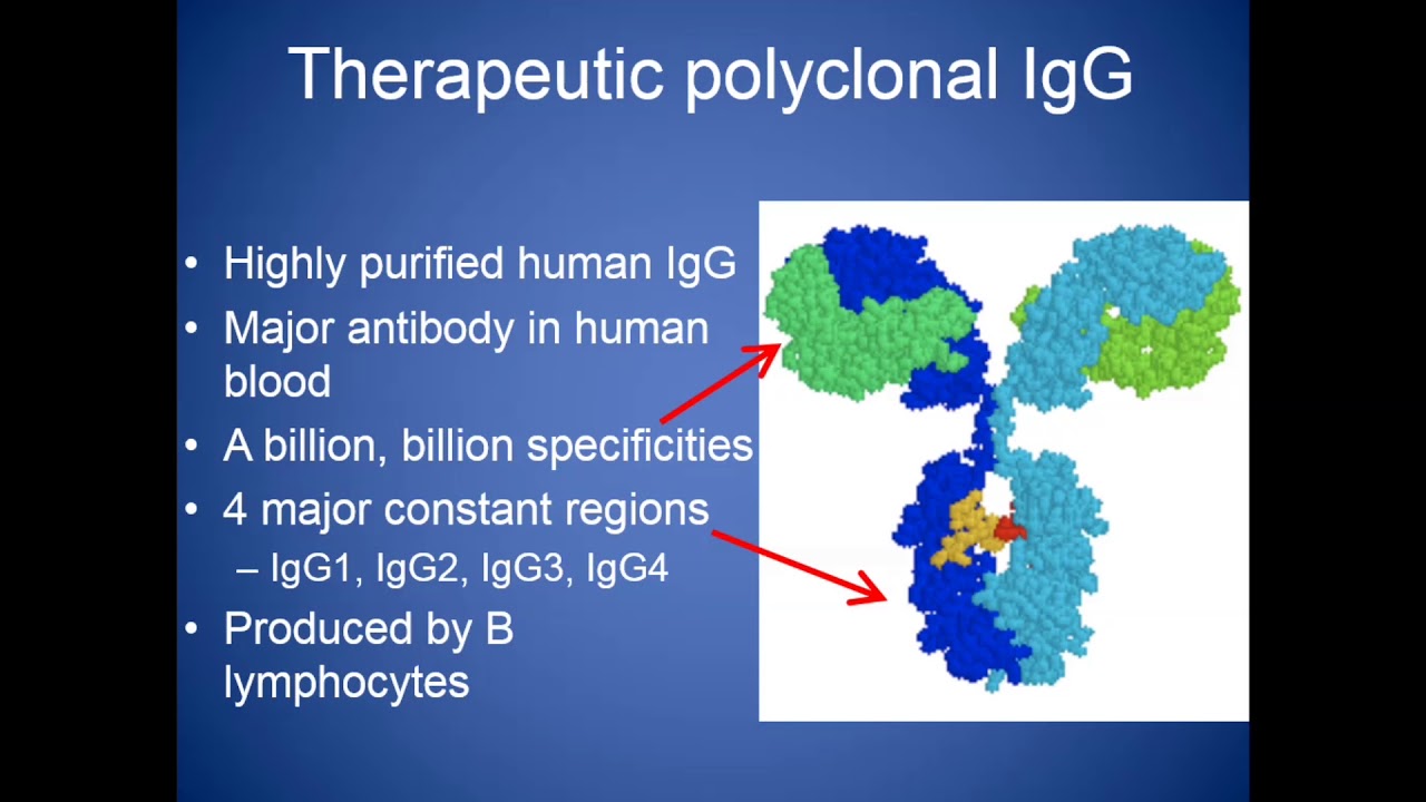 Common Variable Immunodeficiency (CVID)