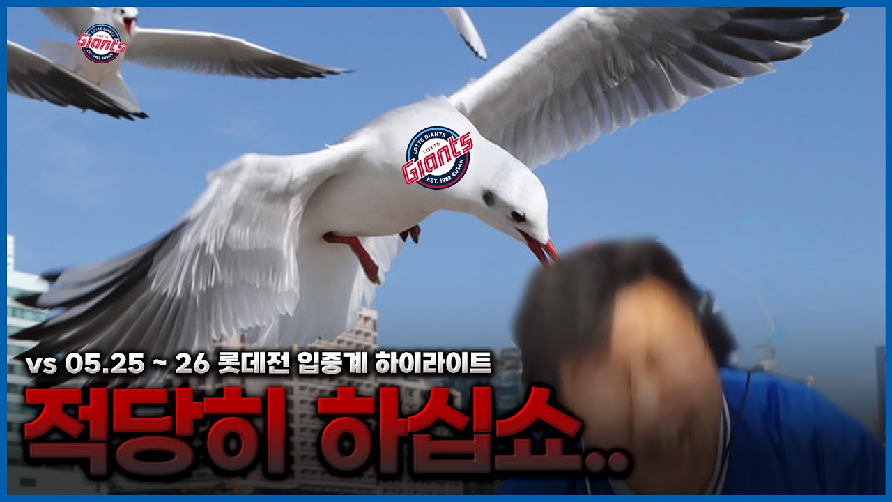 갈매기들아...적당히 끼룩대라...ㅣ5월25~26일ㅣ삼성vs롯데 입중계하이라이트ㅣ클래식시리즈ㅣ삼성라이온즈ㅣ롯데자이언츠