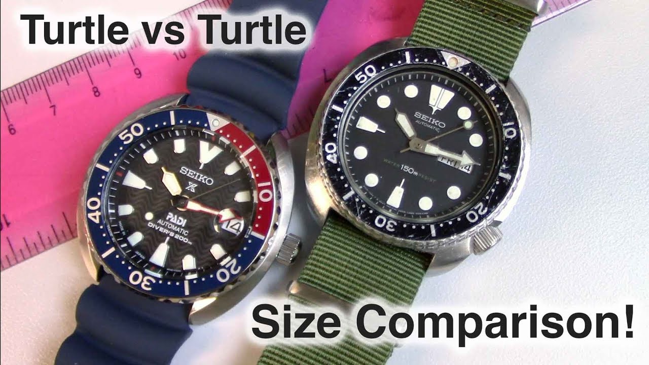 Seiko Turtle Size Comparison | Mini vs Full!