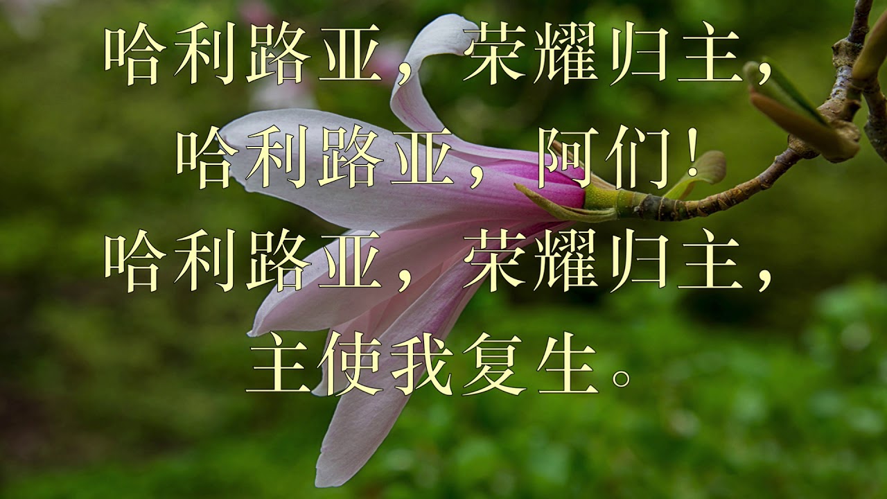 赞我天父歌 新编赞美诗 004首