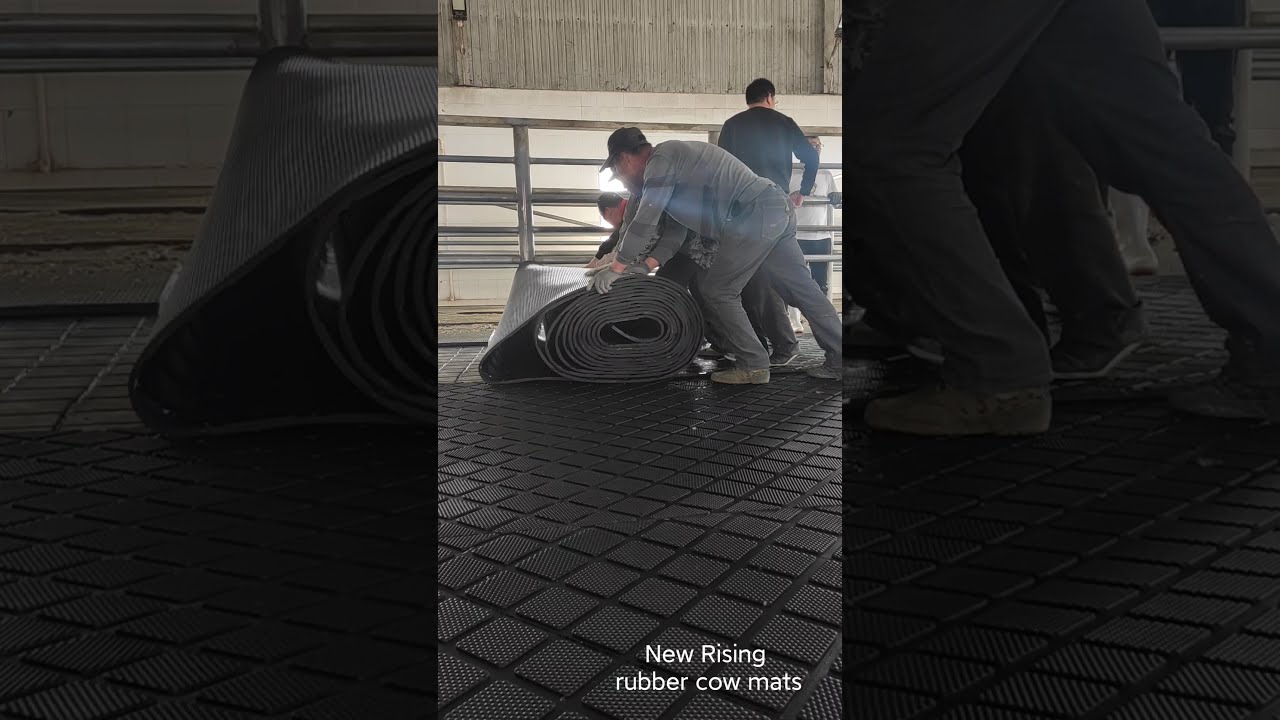 how to install rubber cow mats?
