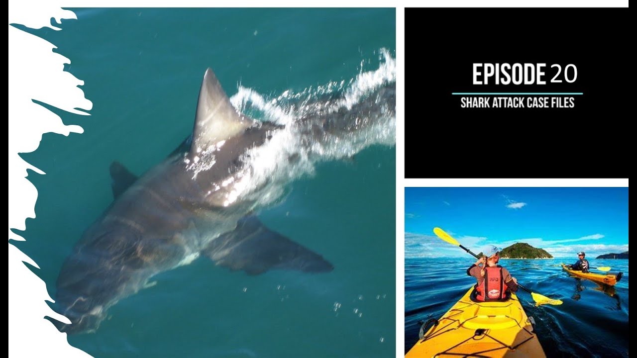 Episode 20 - Shark Attack Case Files - Malibu Great White Shark Attack