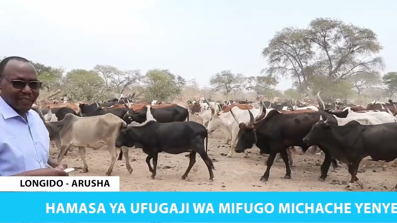 UFUGAJI WA MIFUGO MICHACHE WENYE TIJA