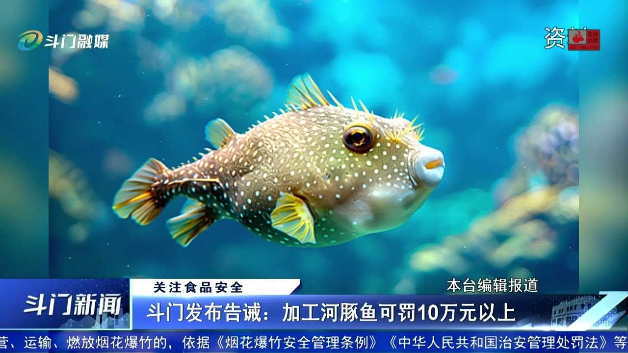 斗门新闻 2026年02月25日