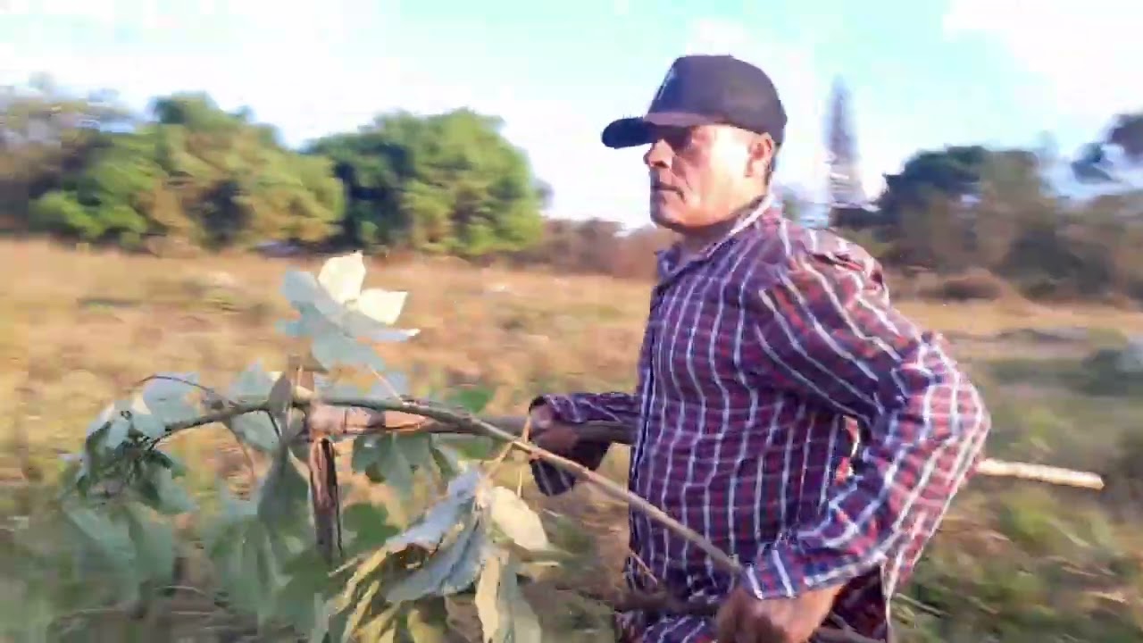 Hoje eu vou  munda um per de toren lá pro riacho