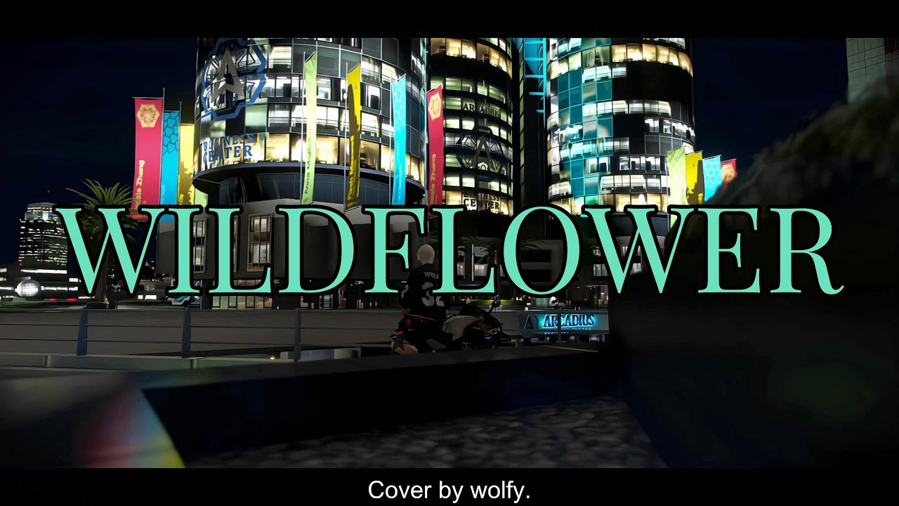 Billie Eilish - Wildflower (Acoustic Cover by wolfy)