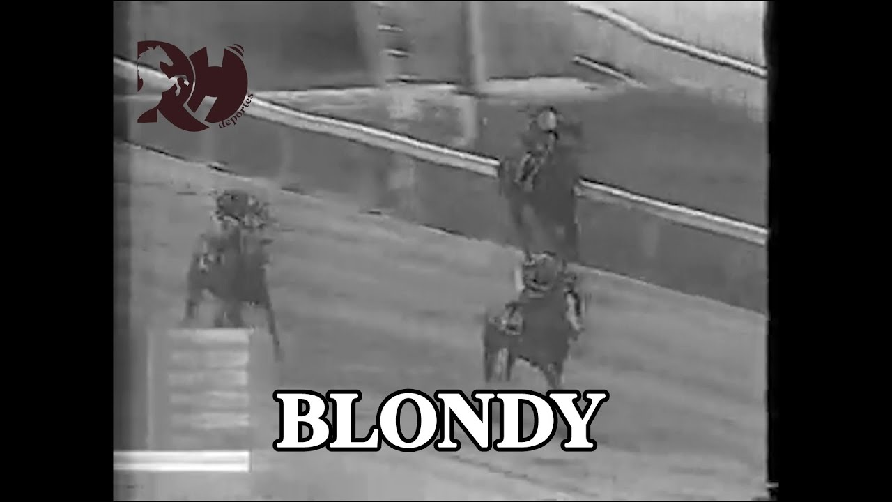 Especial a la pequeña triplecoronada BLONDY pero con un corazon gigante