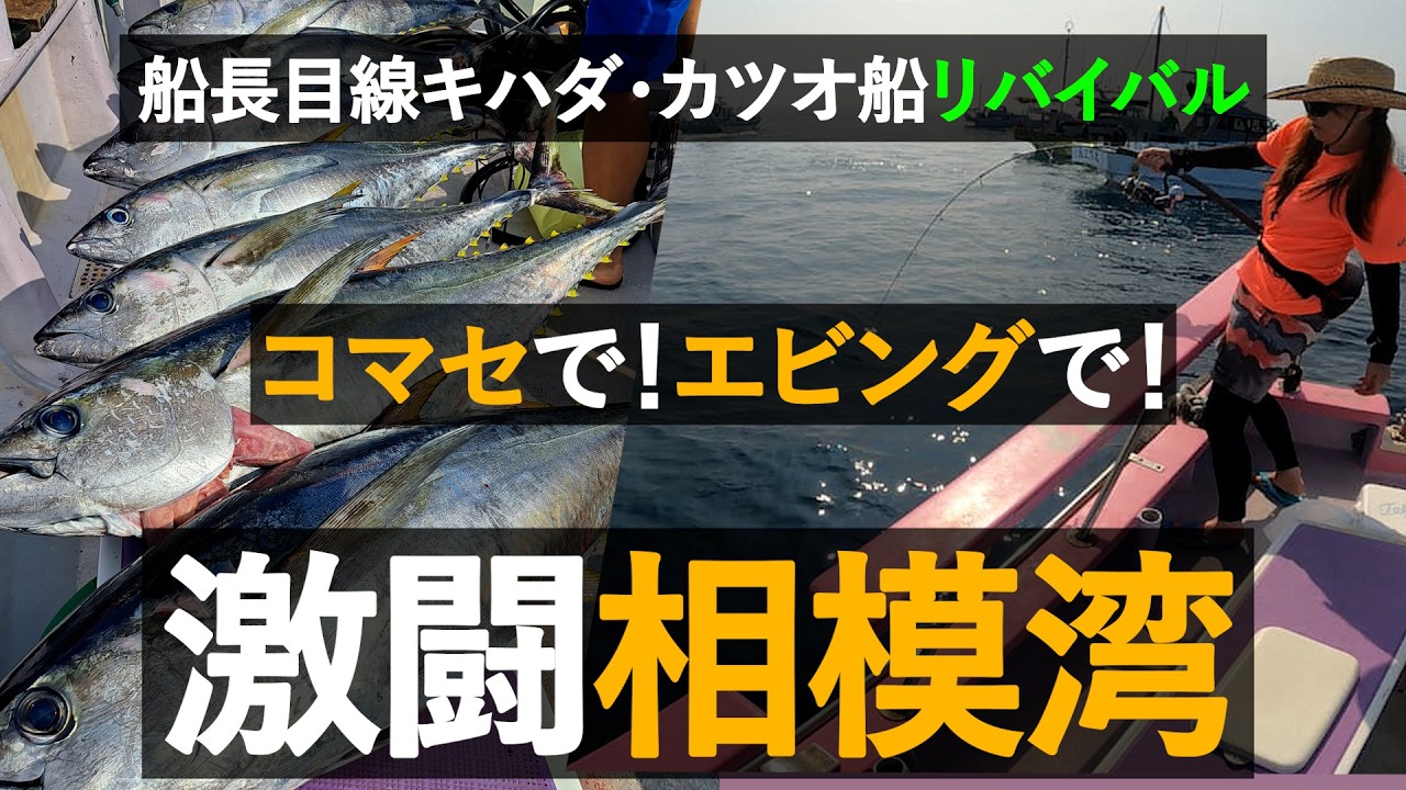 【船長目線】相模湾が熱狂した一日｜キハダ×カツオ船【リバイバル】