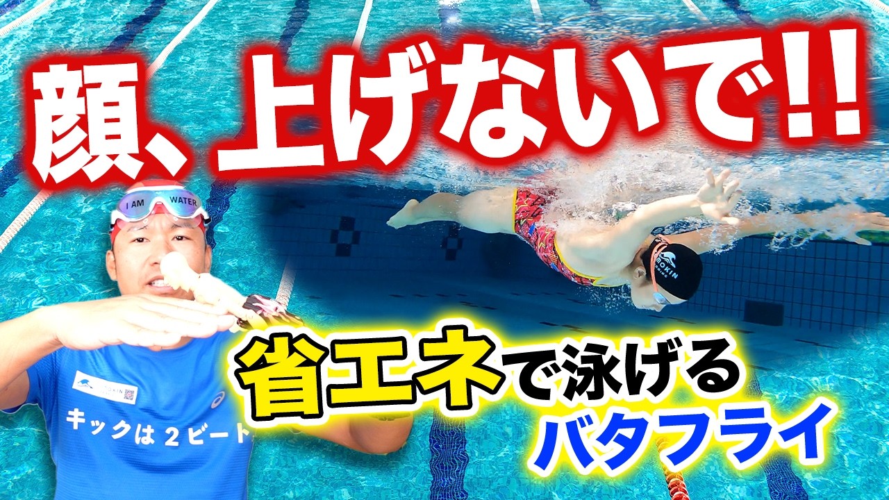 【バタフライ上達法】顔を上げない！？省エネバタフライの泳ぎ方.