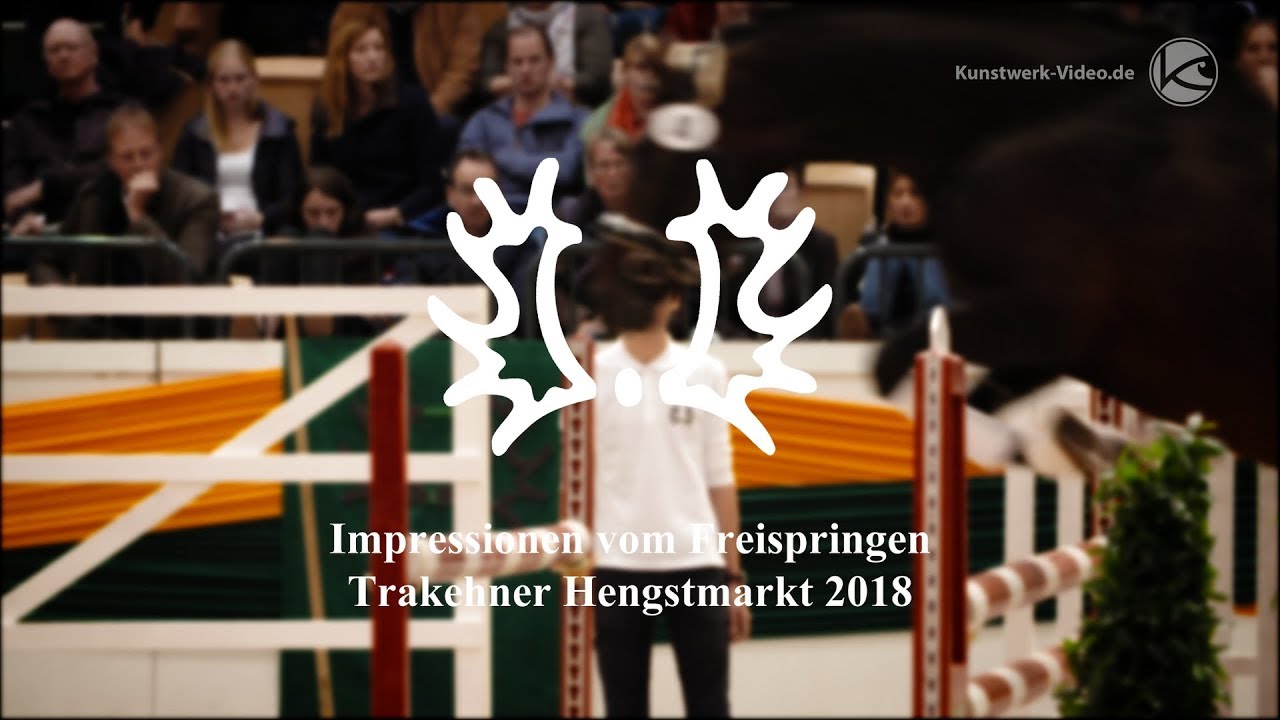 Impressionen vom Freispringen  - Trakehner Hengstmarkt 2018