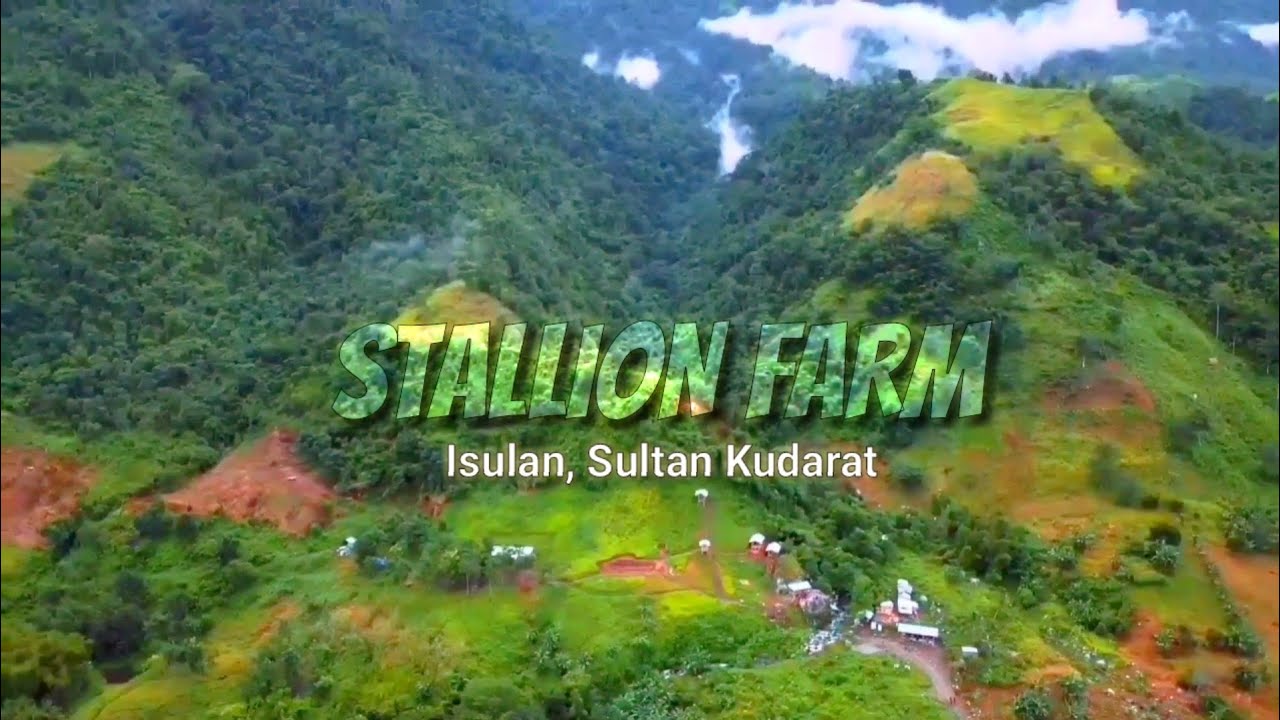 STALLION FARM 2020 | Brgy. Lagandang Isulan Sultan Kudarat
