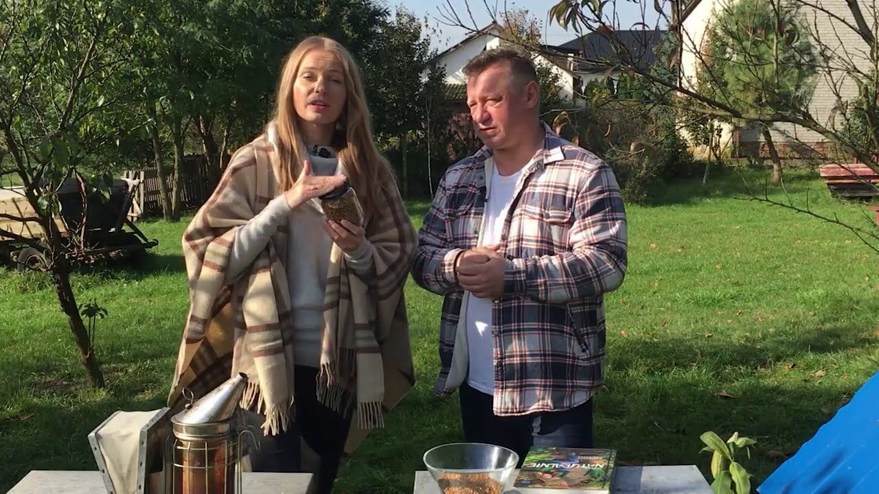 Pyłek pszczeli - SKARBY NATURY