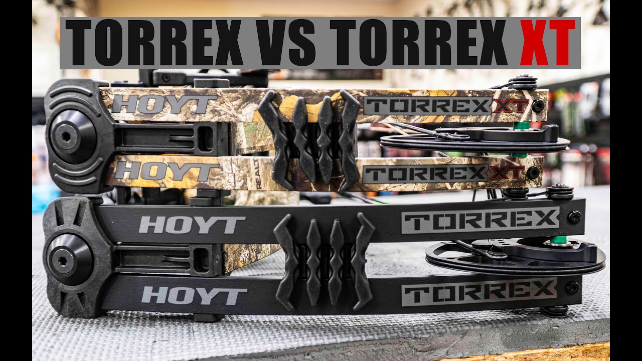 HOYT TORREX VS TORREX XT | New Bow Battle | Which one should you buy?