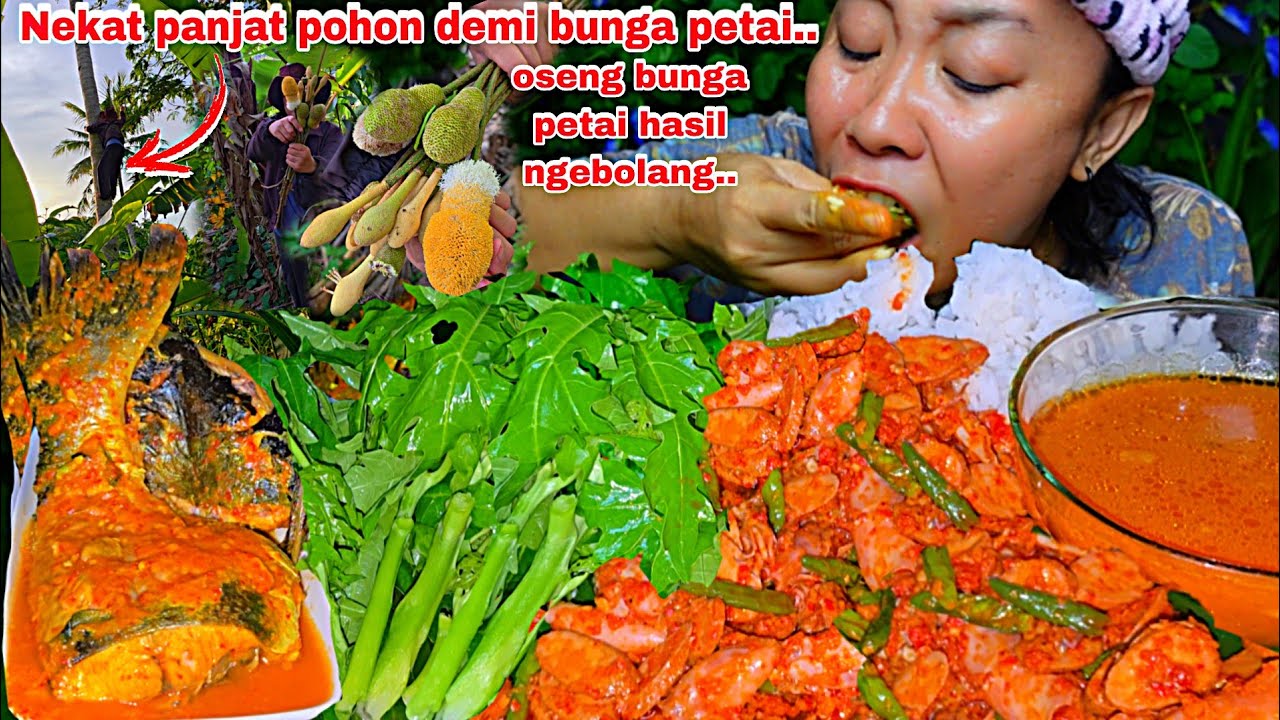 NEKAT PANJAT POHON CARI BUNGA PETAI UNTUK DIMASAK ,RASANYA DILUAR NURUL 🤤🤣‼️