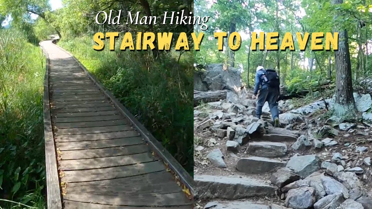 Stairway to Heaven (Wawayanda State Park)