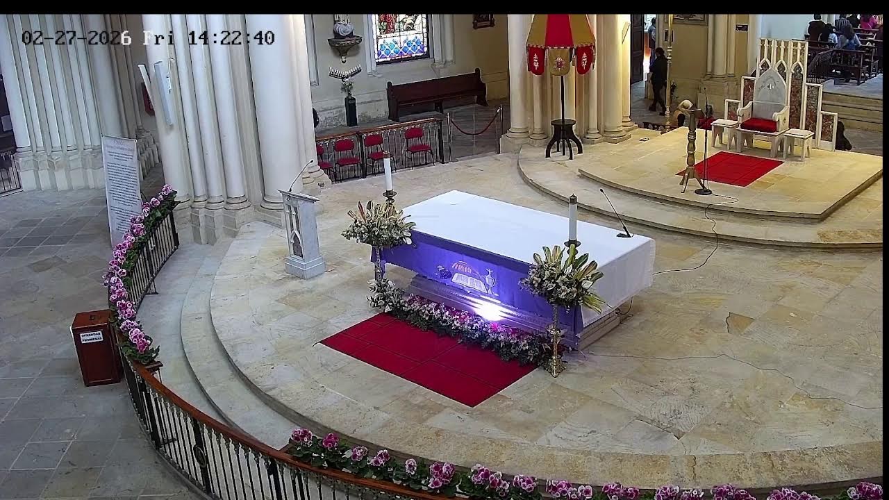 Transmisión Eucaristía Basílica de Lourdes   2026