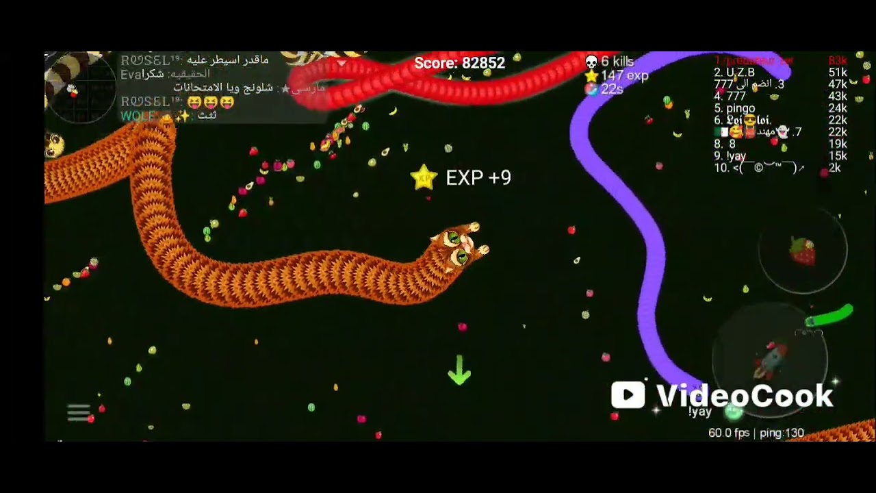 Viper.io prédateur 1er