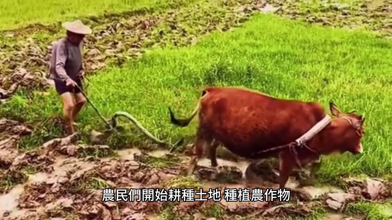 中華傳統節氣- &ldquo;春分&rdquo;的由來