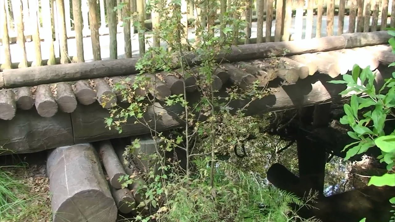 Camp Milton Historic Preserve- "Walk in the Park"