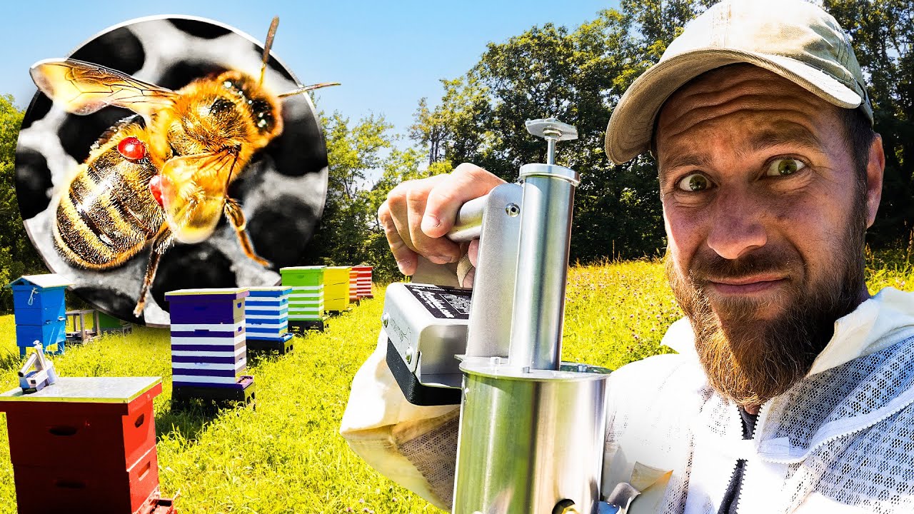 Mites are Killing our Bees. We Found the Solution…