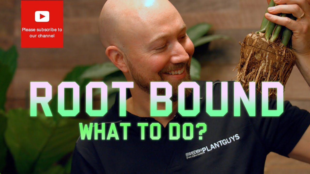 Связано с root-доступом! Что делать?